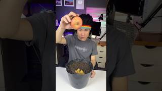 Apple orange tree result #funny #lifehacks