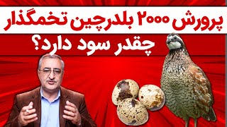 پرورش 2000 بلدرچین تخمگذارچقدر سود دارد؟