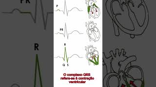 ONDAS DO ECG