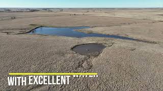 2/9/24 Auction: 922+- Acres Chase County, KS Flint Hills Ranch Near Matfield Green