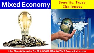 Mixed Economy | Indian Economy | benefits of mixed economy | challenges faced by Indian economy