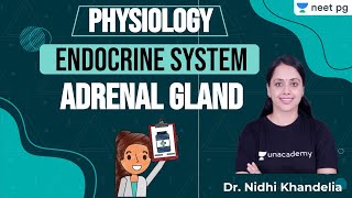 NEET PG: Endocrine System | Adrenal Gland | Unacademy NEET PG | Dr. Nidhi Khandelia