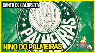 Calopsita Cantando Hino do PALMEIRAS