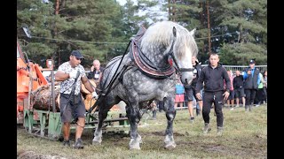 Турнир с тежковозни коне, Нова Махала 21 август 2022 г