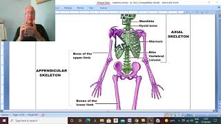 Musculo-skeletal Module I in Arabic 1 ( Classification of Bones of Upper Iimb ) , by Dr. Wahdan