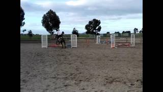 SHOW JUMPING @ SADDLE ON