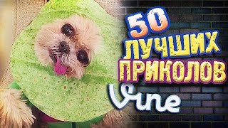 Самые Лучшие Приколы Vine! (ВЫПУСК 135) Лучшие Вайны