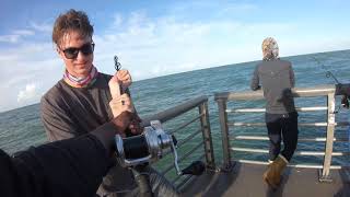 The Jetty Munchers are OUT {SHARK FISHING}  *sebastian inlet