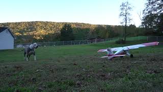 A Few Takeoffs and Landings