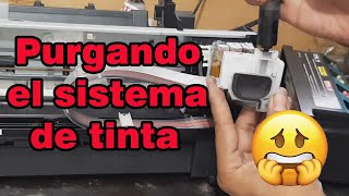 COMO SACAR AIRE DEL SISTEMA DE TINTA DE EPSON (L120)