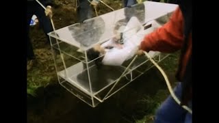 Glass Box Stunt Accident Of Bill Shirk