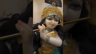 Radhe Radhe Krishna 🪷🙏🙏🪷 #viralvideo #trendingshorts #whatsappstatus #radhakrishna 🪷🙏🪷