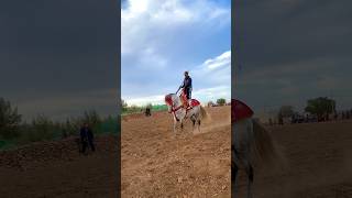 أييه أوا ييه ❤️‍🔥 شوف الخير والخيل 🐴🇲🇦