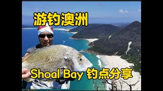 澳洲假日 好去处 新州Shoal Bay游钓 【亲测钓点分享】 澳洲旅游+钓鱼