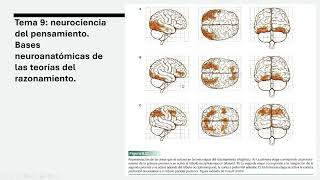 Psicología del pensamiento UNED - Tema 9, Parte 7