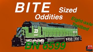 Bite Sized Oddities - BN 6599