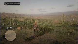 Red Dead Redemption 2 online xaxa ksuliki