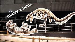 The cuddliest dinosaur death you'll ever get... - Yutyrannus, Paleo profiles