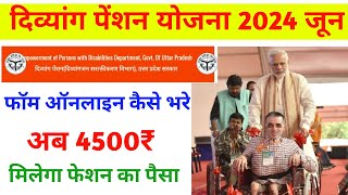 divyang pension yojana 2024 😱|| विकलांग पेंशन ऑनलाइन आवेदन 2024 || दिव्यांग पेंशन योजना apply Karen