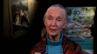 The Year of Science features Jane Goodall