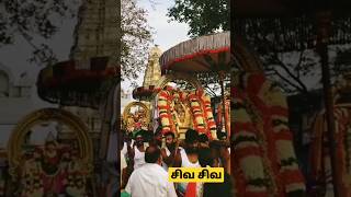 Ekambaranathar utsava moorthy #ஏகாம்பரநாதர்  #kanchipuram #kanchi #sivan_whatsapp_status_tamil