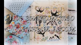 96. Апрель в совином лесу. Вышивка. Owl Forest Embroidery