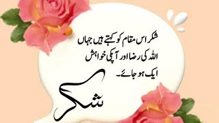 Asslam o alikum my YouTube family 💐 17 October