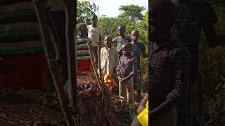 In organic farming we grow our soil by making compost manure which have got a lot of nutrients.