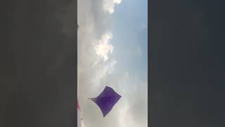 Big kite flying 😍2024 #shorts #trending #viralvideo