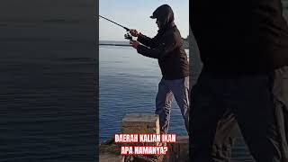 Ikan Marlin KW #shorts