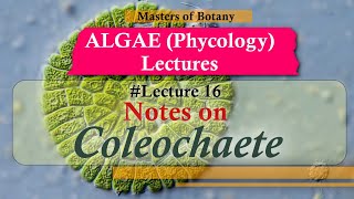 Lecture 16 | Coleochaete Life Cycle (Chlorophyceae) | Algae Lecture Notes