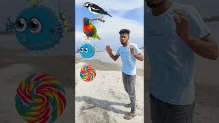 17 August 2024, monster fish, Lolipop to, koyle,tota,,owel,kobutar and , short magic VFX video,,