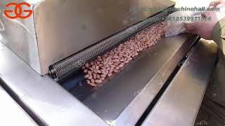 Automatic Nuts Deep Frying Machine For Sale Video