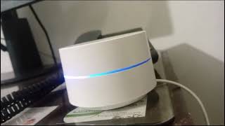 Google WiFi NLS 1304 System: Understanding the Blue & Red Lights