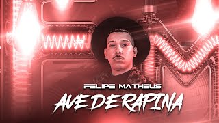 AVE DE RAPINA - Felipe Mateus  by Pitter Correa (Clipe Oficial)