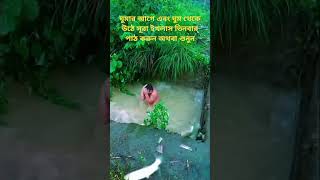 সূরা ইখলাস #surah ikhlas#Islamic video#shortvideo#shorts #youtubeshorts #viralsorts #highlights