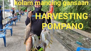 Kolam mancing gansaan