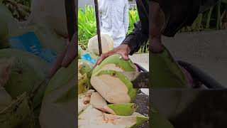 SUPERB! Fresh coconut fruits cutting skills. #shorts #coconut #short #satisfying #fresh