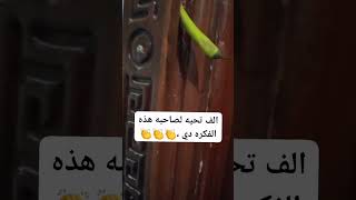 شكرآ لصاحبة الفكرة دي جربتها ومفعولها خطير #يوميات_موظف_مطحون_قوي #يوميات_شيمو_متحدث_تحفيزي