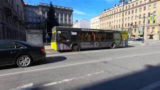 Санкт-Петербург на карантине. Большой Проспект П. С. Выносим мусор