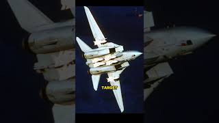 In 1976, Russia Pushed To Get a Fallen F-14 Tomcat of The US Navy