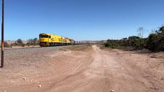 IMG 0401 P2503 P2505 7G52 empty grain to Mingenew Mount Horner West Rd Bookara 27/1/24. Phil Melling