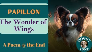 Papillon | Everything You Need to Know About This Beloved Dog Breed | Dog Lovers