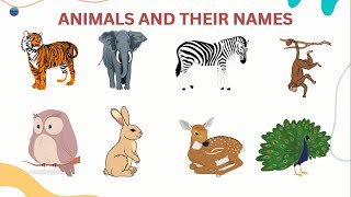 Lets Learn Names of Animals - Kids Learning @mmkhansworld