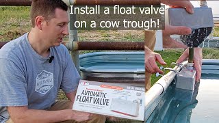 Install a Float Valve for a cow trough