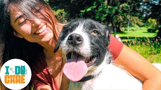 Tras 4 años en un REFUGIO, este PERRO encuentra por fin un HOGAR 🏡