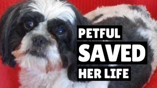 "Petful Saved Her Life ..."