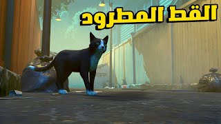 Copycat #2: هنكمل قصة القطة و الست العجوزة