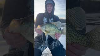 Unexpected Big Crappie On Thin Ice!