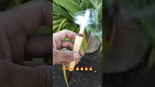 Konte sampah #19 pipa rokok bonggol jagung x batok kelapa #shorts #short